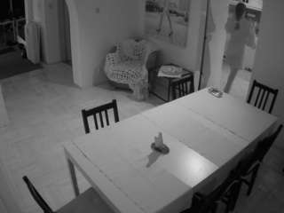 voyeurcam-julmodels-dining