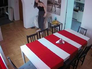Julmodels Dining Room live cam preview