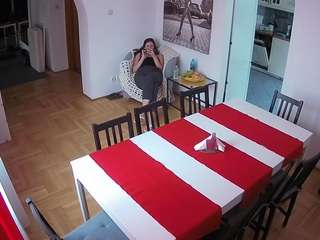 Julmodels Dining Room live cam preview