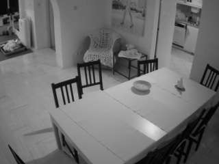 Julmodels Dining Room live cam preview