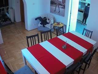 Julmodels Dining Room live cam preview