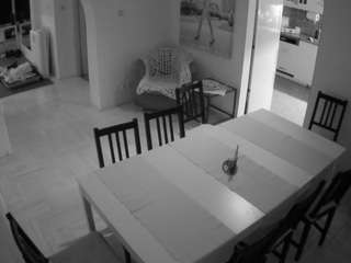 Julmodels Dining Room live cam preview