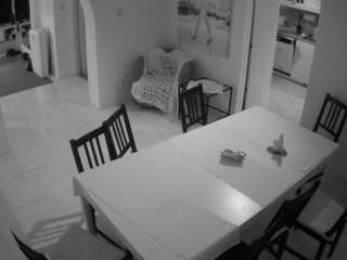 Julmodels Dining Room live cam preview
