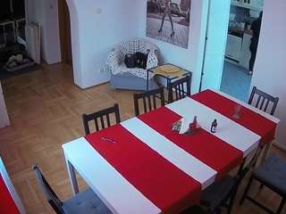 Julmodels Dining Room live cam preview