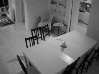 voyeurcam-julmodels-dining