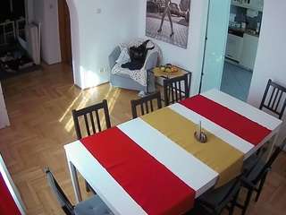 voyeurcam-julmodels-dining