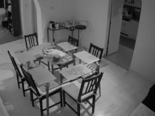 Julmodels Dining Room's Live Sex Cam Show