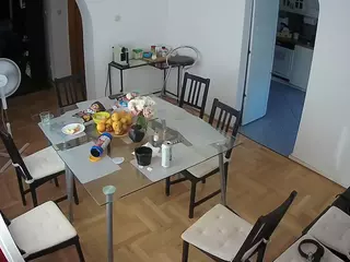 Julmodels Dining Room's Live Sex Cam Show