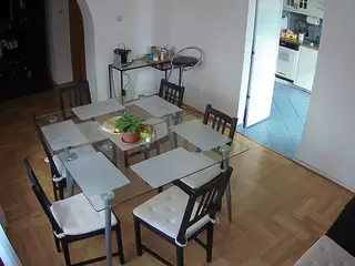 Julmodels Dining Room's Live Sex Cam Show