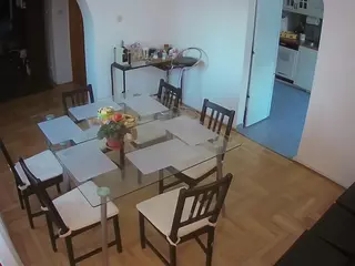 Julmodels Dining Room's Live Sex Cam Show