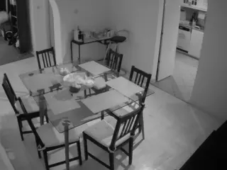 Julmodels Dining Room's Live Sex Cam Show