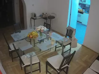 Julmodels Dining Room's Live Sex Cam Show