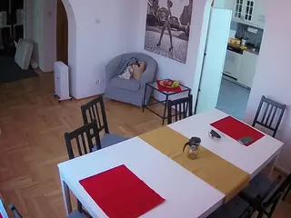 Julmodels Dining Room's Live Sex Cam Show