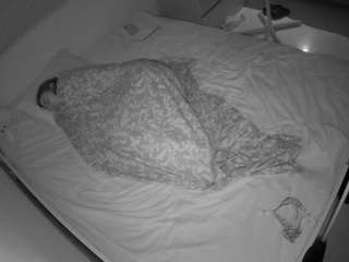 Dorm Voyeur camsoda voyeurcam-julmodels-greybed-1