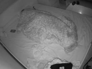 Julmodels Bedroom-B1