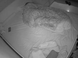 voyeurcam-julmod... Live Webcam on CamSoda