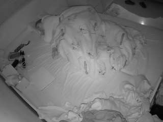 voyeurcam-julmodels-greybed-1