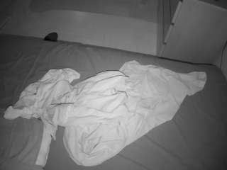 Karlee Grey Nude camsoda voyeurcam-julmodels-greybed-2