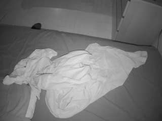 Male Cam Models camsoda voyeurcam-julmodels-greybed-2