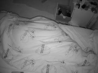 voyeurcam-julmodels-greybed-2