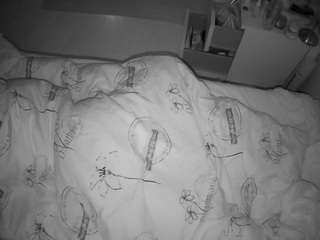 Julmodels Bedroom-B2