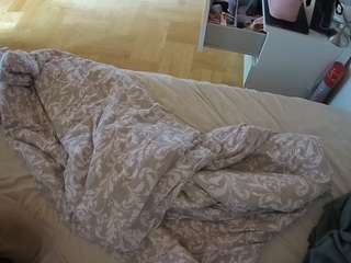 Julmodels Bedroom-B2