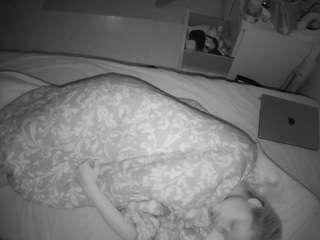 voyeurcam-julmod... Live Webcam on CamSoda