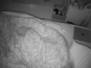 Julmodels Bedroom-B2