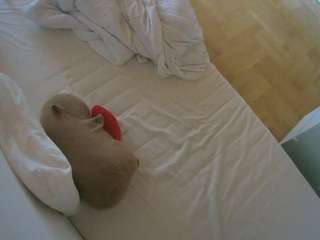 voyeurcam-julmodels-greybed-2