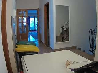 voyeurcam-julmod... Live Webcam on CamSoda