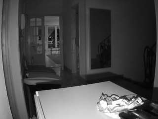 voyeurcam-julmodels-hall-1st
