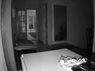 voyeurcam-julmodels-hall-1st