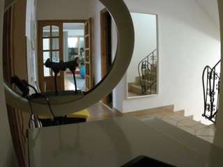 voyeur  hd  sexwebcam...