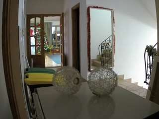 Live Sex Chat with Julmodels Hall 1st Floor (@voyeurcam-julmodels-hall-1st)