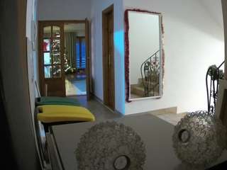 Live Sex Chat with Julmodels Hall 1st Floor (@voyeurcam-julmodels-hall-1st)