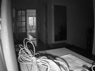 voyeurcam-julmod... Live Webcam on CamSoda