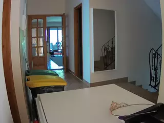 Julmodels Hall 1st Floor's Live Sex Cam Show