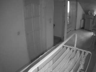  live cam