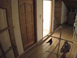 voyeurcam-julmod... Live Webcam on CamSoda