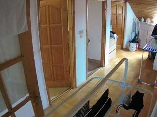 voyeurcam-julmodels-hall-2nd live cam profile