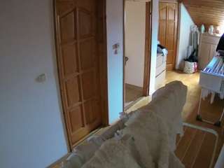 voyeurcam-julmodels-hall-2nd's CamSoda show and profile