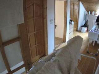 voyeurcam-julmodels-hall-2nd webcam