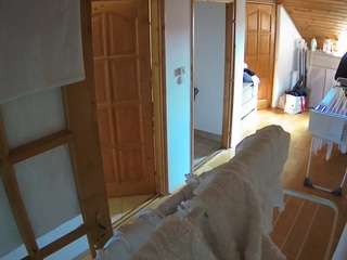 voyeurcam-julmodels-hall-2nd's CamSoda show and profile