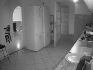 Vouyeur House camsoda voyeurcam-julmodels-kitchen