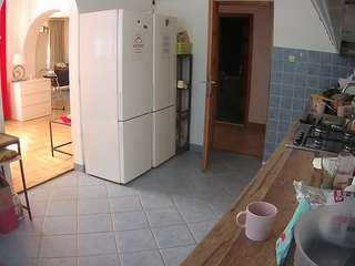 voyeurcam-julmodels-kitchen