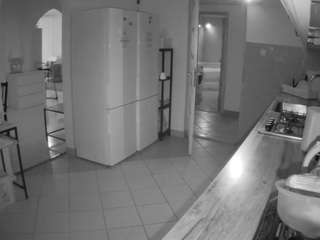 voyeurcam-julmodels-kitchen