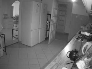 voyeurcam-julmodels-kitchen