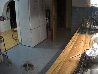 voyeurcam-julmodels-kitchen camsoda