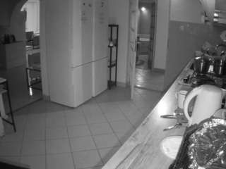 voyeurcam-julmodels-kitchen