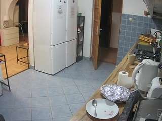 voyeurcam-julmodels-kitchen webcam
